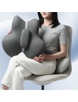 Back and lumbar support cushion