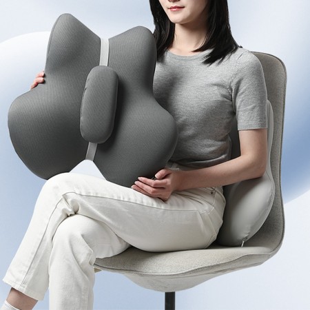 Back and lumbar support cushion