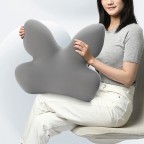 Multi-functional lumbar support pillow