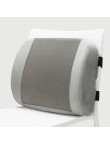 3D Mesh Memory Foam Ergonomic Lumbar Support Cushion