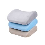 3D Mesh Memory Foam Ergonomic Lumbar Support Cushion